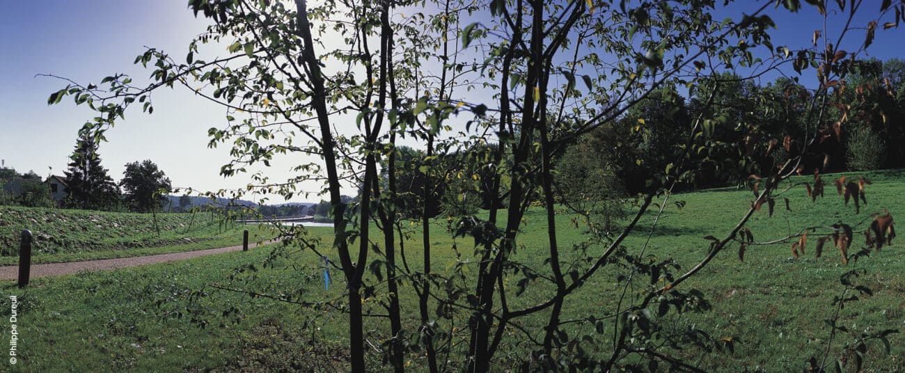 Photographie panoramique au parc arboretum de Montfermeil créé par l'atelier Pasodoble.
